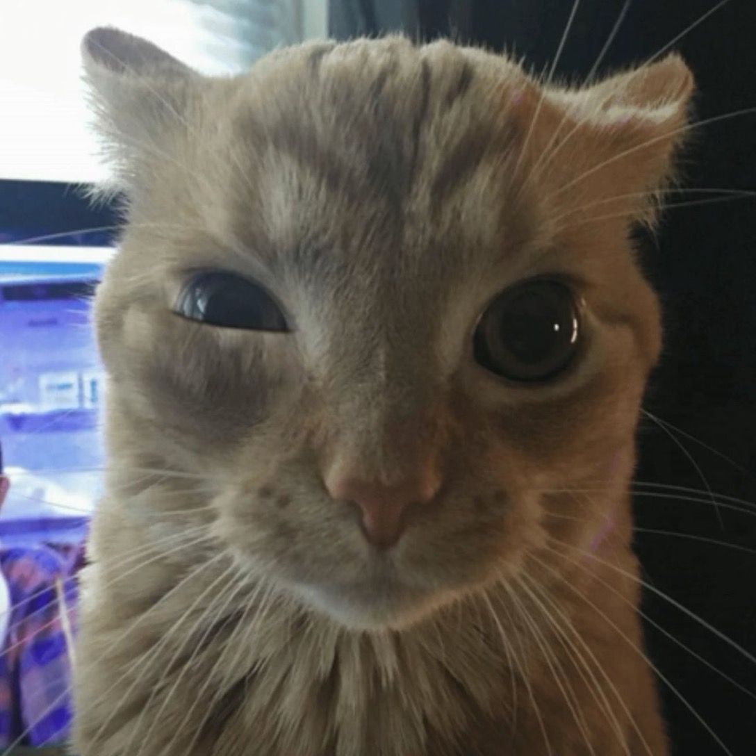 ary
