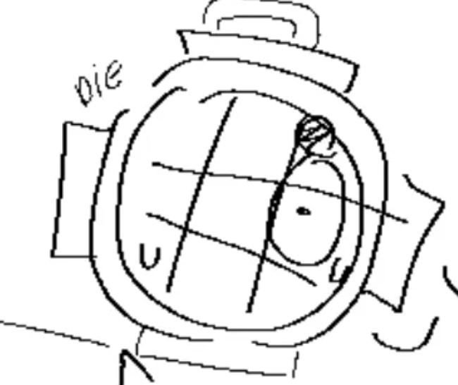 vee