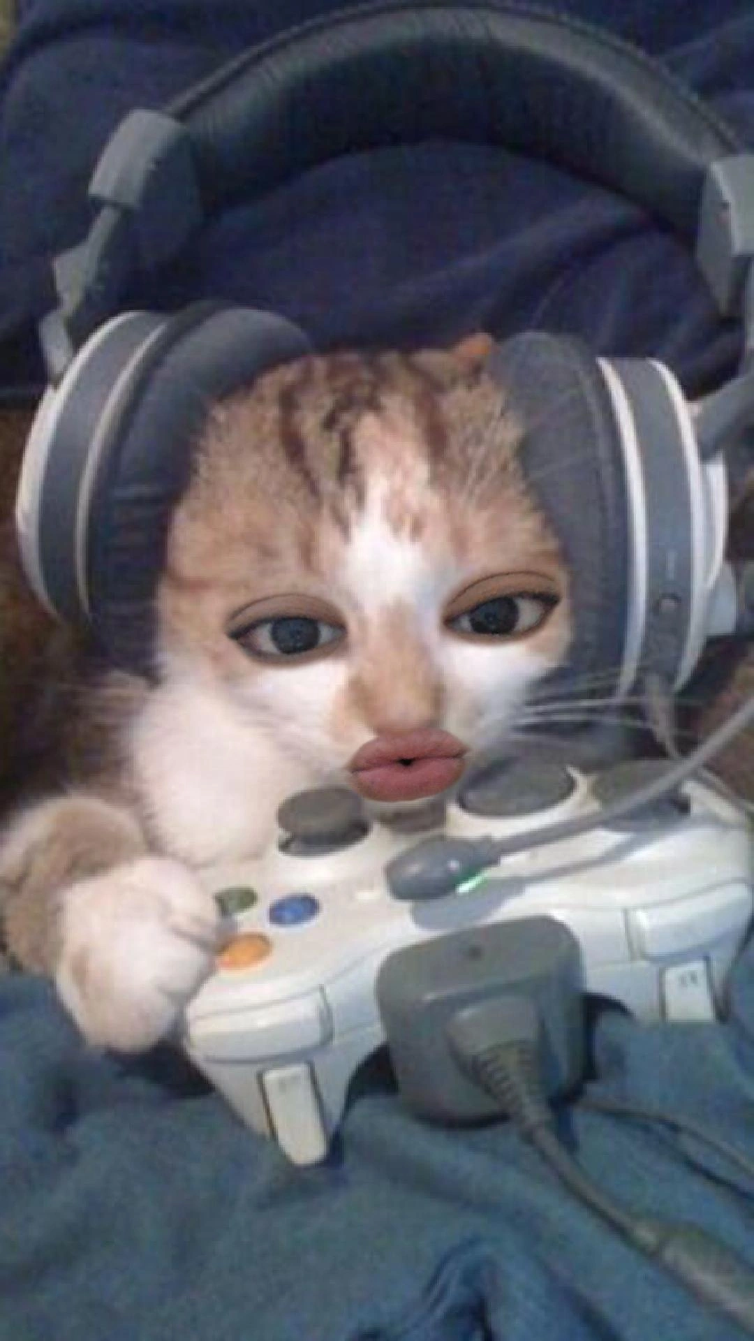 Kar