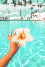 preppy_flower