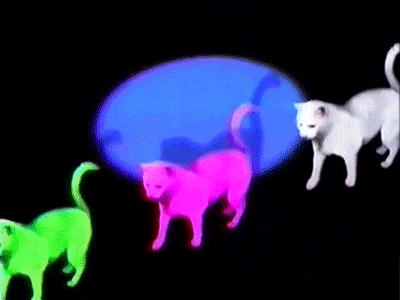 BinneyFlippe