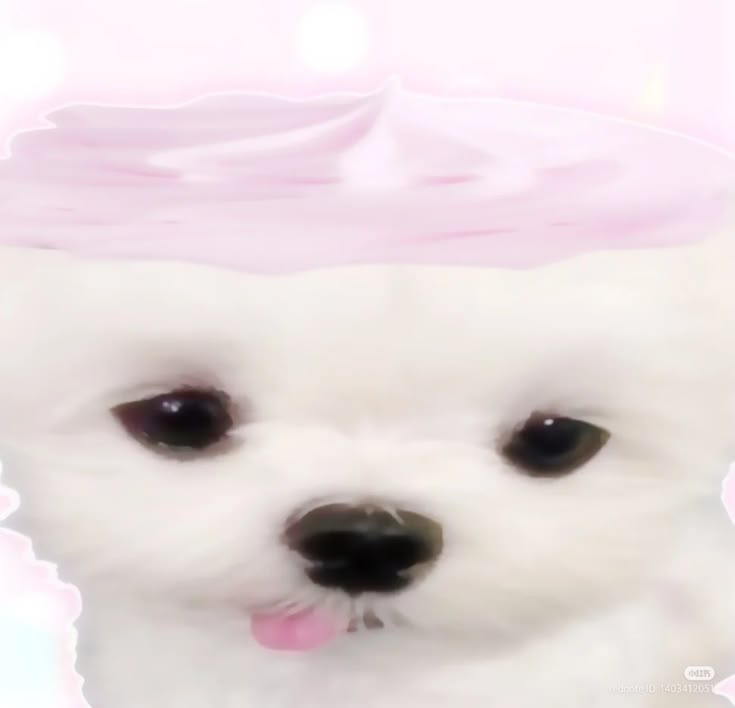 minh hyy