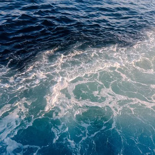 Sea Jump