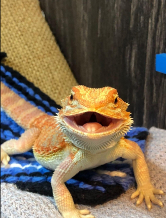 k8