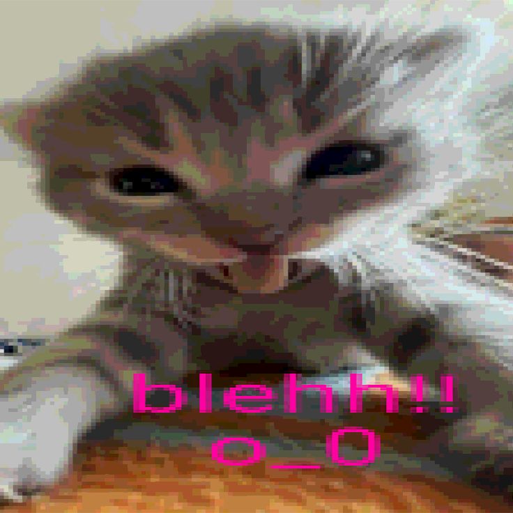 zzz