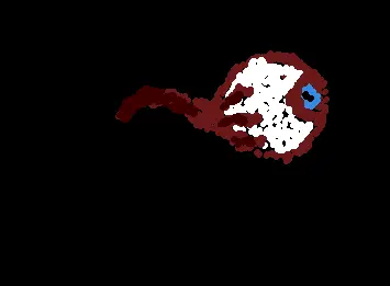hate