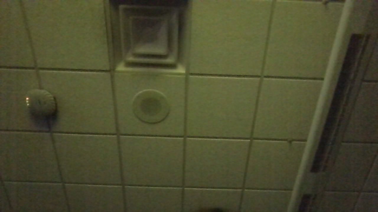 i am wathing Shrek in scieunce