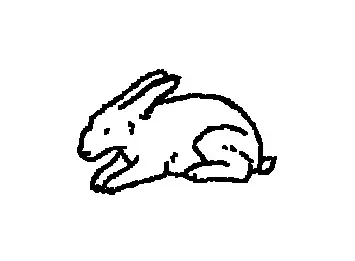 bnnuy