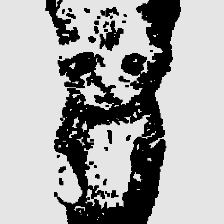 little cat