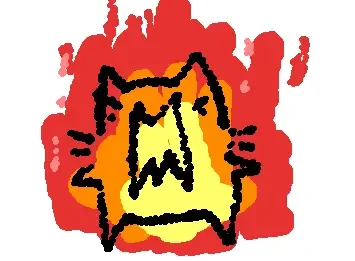 ANGY CAT