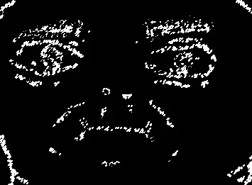 Potato Thinking in the Dark