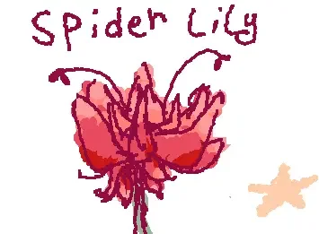 spider lily bohoho