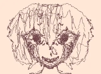 a girl