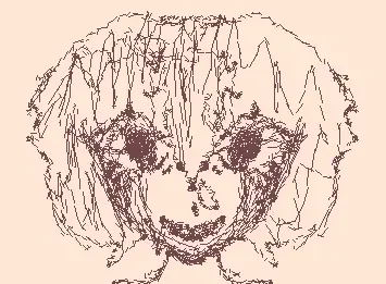a girl