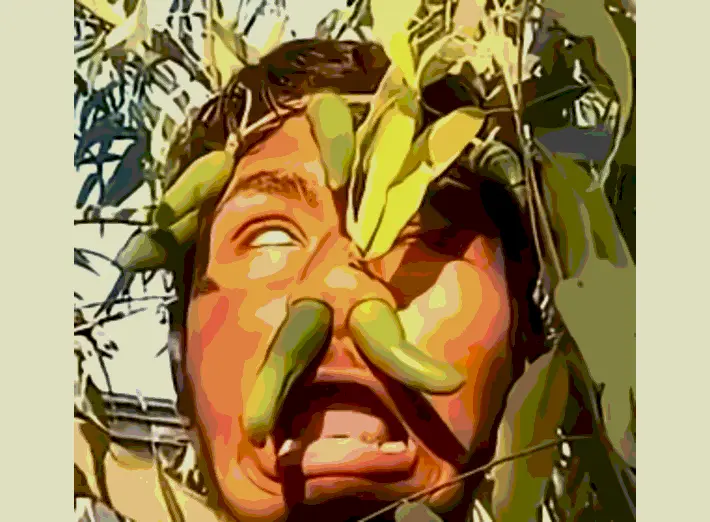 guy with peppers in his nose