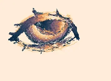 eye