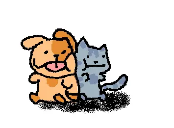 cat and dog