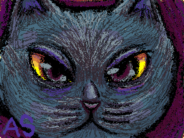 Gato