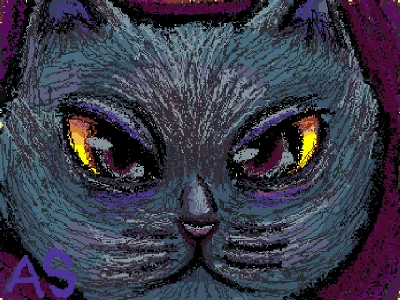 Gato