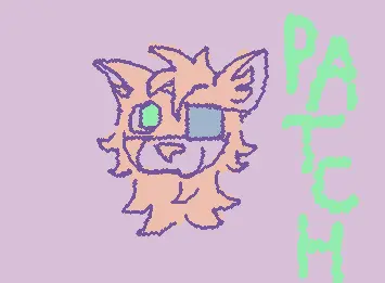 Patch!