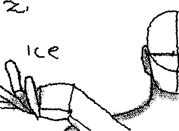 Hand