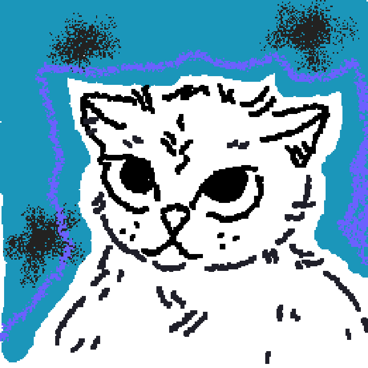. gato. uno