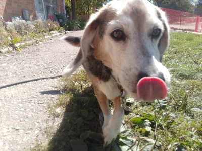 ★Rusty★