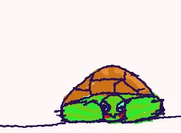 this is my turtle scooter