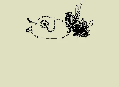 Pewiwi