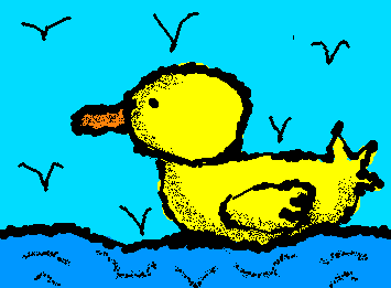 Duck