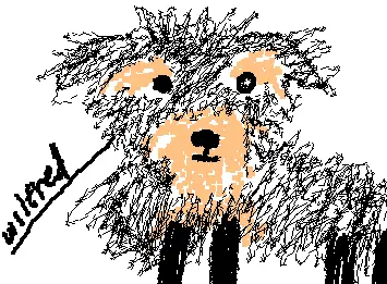 wilfredbb