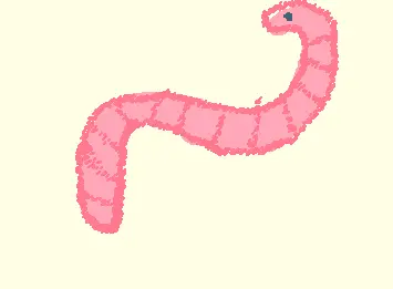 'Worm