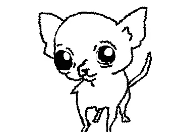 chiwawa