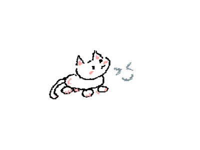 一个很可爱的小猫