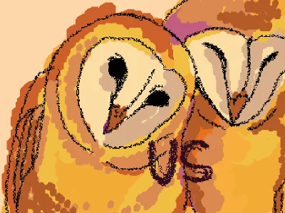 us?