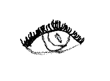 The seeing eye