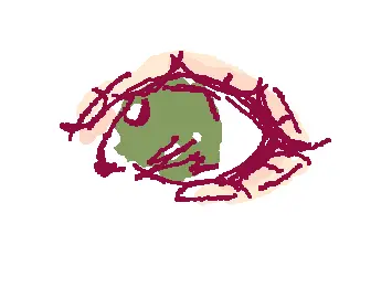 eye