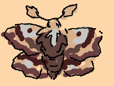 Polilla