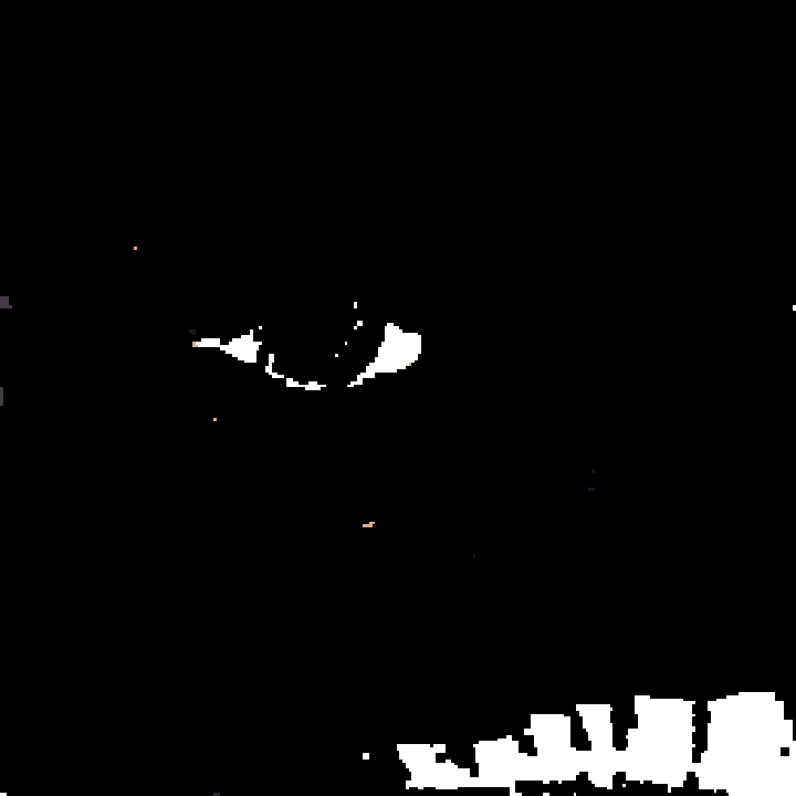 eye