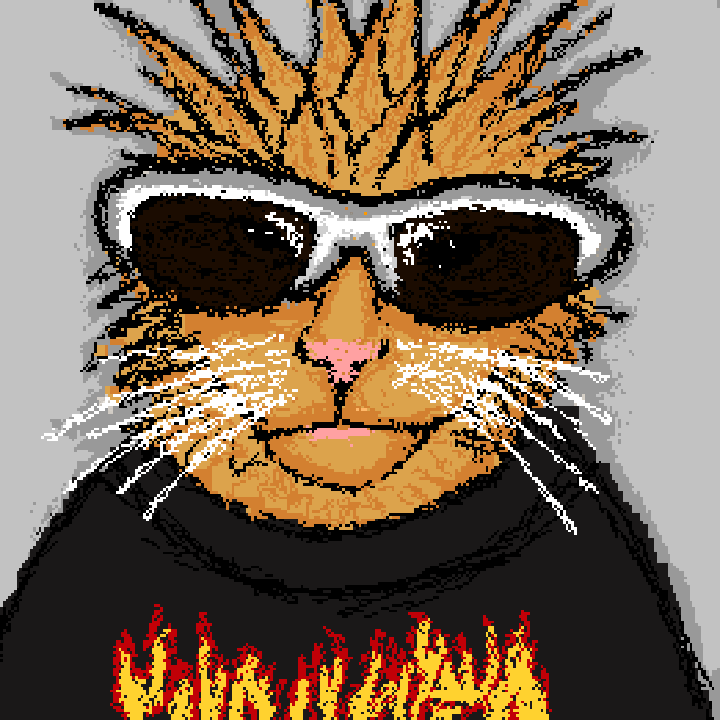 Punk Cat