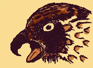 birds eye