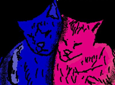 Tv cat