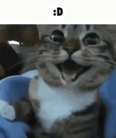 :D