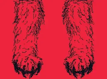paws