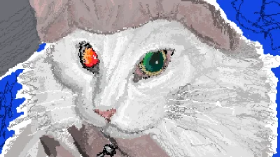 heterochromia