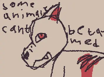 Some animals cant be tamed