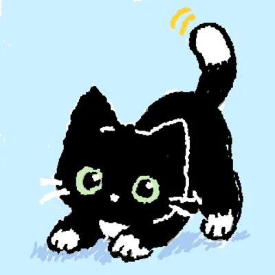 lovely cat