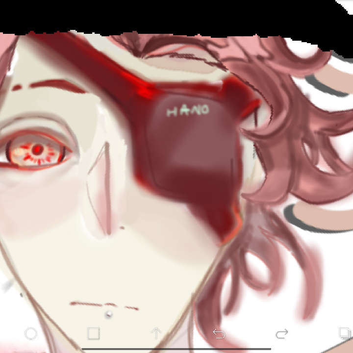 Ibis p sketch