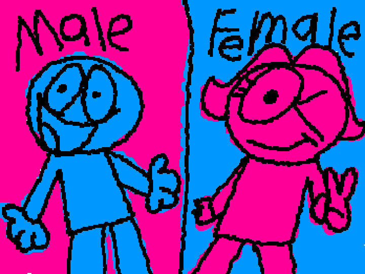 Male and Female