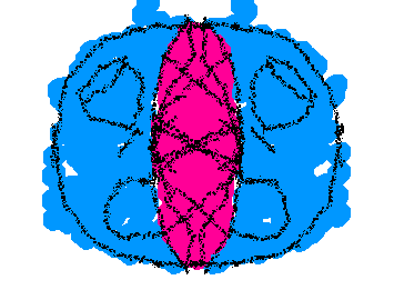 mind wave
